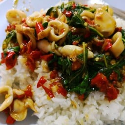 ร้านอาหารตามสั่งป้าตุ๊ก   กระเพราพริกสด&พริกแห้ง