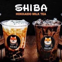 Shiba Hokkaido Milk Tea พัฒนาการ พัฒนาการ