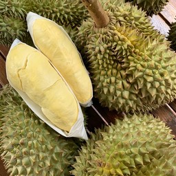 Queen Durian