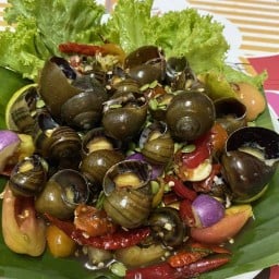 ครัวแซ่บออนซอน -