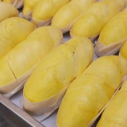 ทุเรียนหมอนทองไอซ์แอ้นท์2