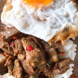 ข้าวราดผัดกะเพราเป็ด,ไข่ดาว