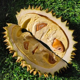 ทุเรียนแกะเนื้อ เกรดพรีเมี่ยม (ผลไม้ตามฤดูกาล)