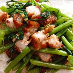 ผัดผักบุ้ง ราดข้าว