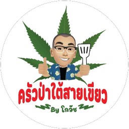 ป่าใต้สายเขียว