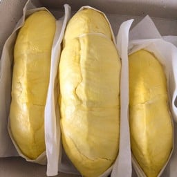ทุเรียนหมอนทอง