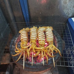 ตัวไข่