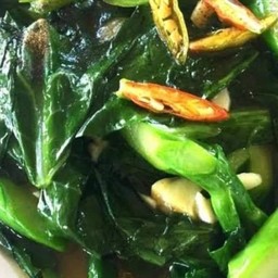 คะน้าผัดน้ำมันหอย