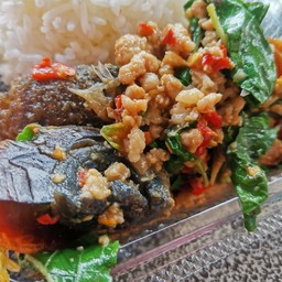 กะเพราไข่เยี่ยวม้าราดข้าว