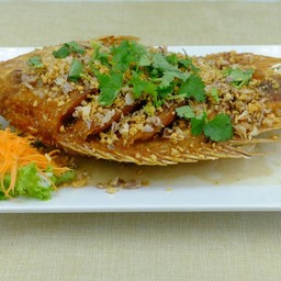 ทับทิม