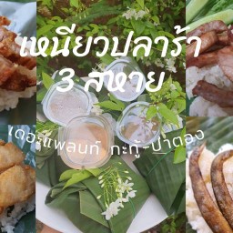 เหนียวปลาร้า 3สหาย