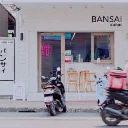 Bansai cafe Surin สุรินทร์