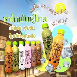 ชาโคพันธุ์ไทย