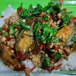 ข้าวกะเพราหมูสับไข่เยี่ยวม้า