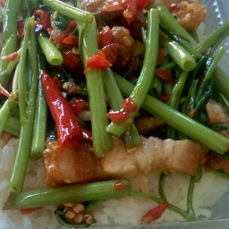 ผักบุ้ง หมูกรอบ