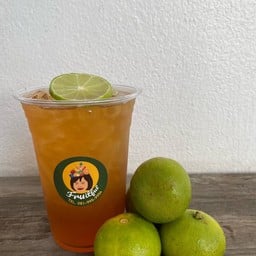 ชาลิปตันไอซ์ที