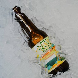Craft Soda Orange