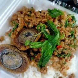 ข้าวกะเพราหมูสับไข่เยี่ยวม้า
