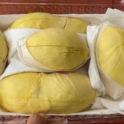 ทุเรียนหมอนทองถูกอร่อยเนื้อดี หน้าปั้มซัซโก้-30 เดอะไบร์ท