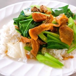 เพ็ญไก่หุบบอน เครือสหพัฒน์ศรีราชา