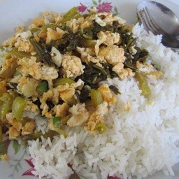 ผัดผักกาดดองใส่ไข่ราดข้าว