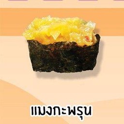 แมงกะพรุน