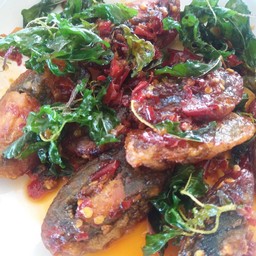 กระเพราไข่เยี่ยวม้าหมูสับ กระเพรากรอบ