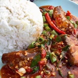 กระเพราปลากระป๋อง ราดข้าว