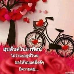 ป้าหนิงอาหารตามสั่ง