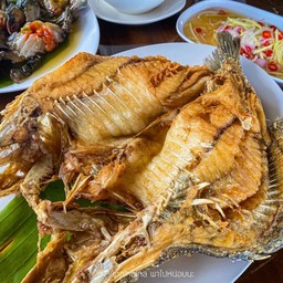 ปลากระพงทอด
