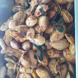 หอยลายผัดน้ำพริกเผา