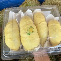 ทุเรียนหมอนทอง 1 กิโล
