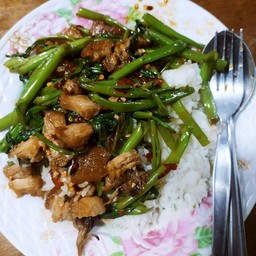 ร้านกระเพราดวงดี(เสรีไทยซอย9)