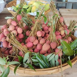 บ้านสวนผลไม้