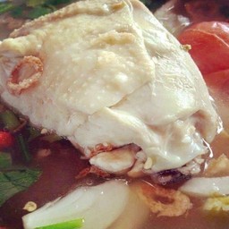 ซุปไก่ chicken soup