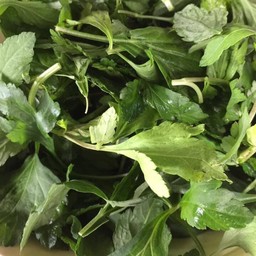 ผักจิงจู