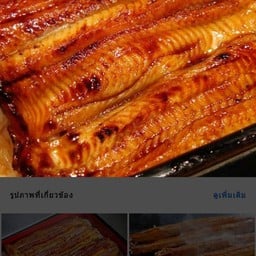 ปลาไหลญี่ปุ่นย่างซีอิ้ว Grilled Unagi