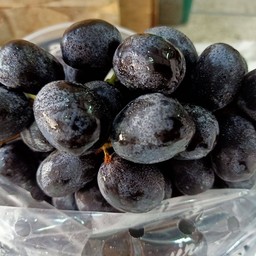 องุ่นดำไร้เมล็ดออสเตรเรีย