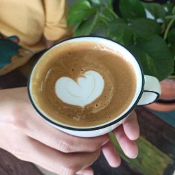 A DOSE อะ โดส คอฟฟี่แอนด์สมูทตี้