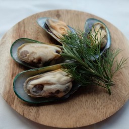 หอยแมลงภูนิวซีแลนด์