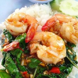 กระเพราะกุ้ง