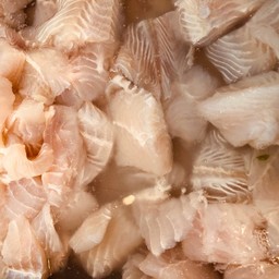 ปลาดอลลี่