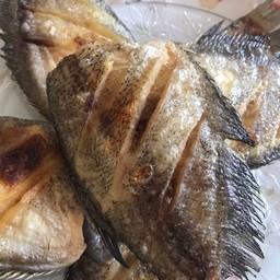 ปลาสลิดพร้อมหม่ำ