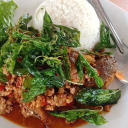 ข้าวหอมเคียงไข่เยี่ยวม้าทอดใบกะเพากรอบ (แนะนำ)