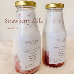 Milk Lab (Lamlukka)