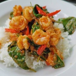 ผัดกระเพรากุ้งราดข้าว