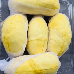 ผลไม้ และทุเรียนหมอนทอง (ร้านยายโย)