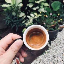 Espresso (Hot)