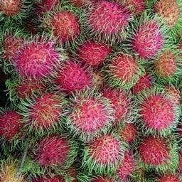 Nara Fruit