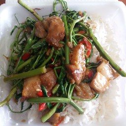 แขกตามสั่ง